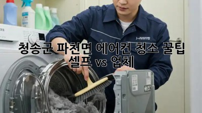 청송군 파천면 에어컨 청소 꿀팁 🍯 셀프 vs 업체?