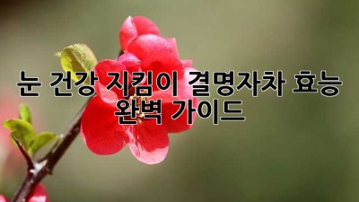 눈 건강 지킴이, 결명자차 효능 완벽 가이드